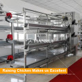 China automática bebé pollo jaulas aves de corral equipo de cultivo precio